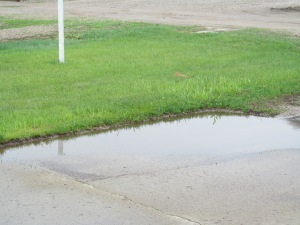 Water building up in the driveway behind our garage in Linton.